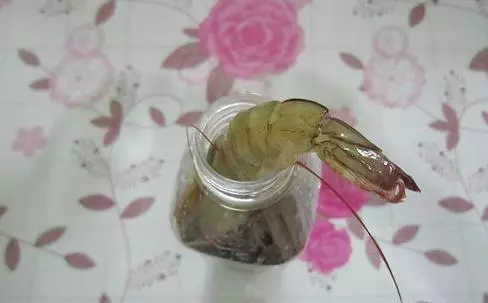 蝦買多了怎麼辦?教你1招,這樣保存蝦多久「蝦頭再也不會變黑」,別再直接放冰箱了!