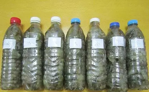 蝦買多了怎麼辦?教你1招,這樣保存蝦多久「蝦頭再也不會變黑」,別再直接放冰箱了!