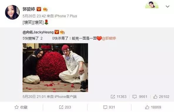 原來向佐3年前追求郭碧婷被拒絕了,如今卻求婚成功,原因有3點,很現實!