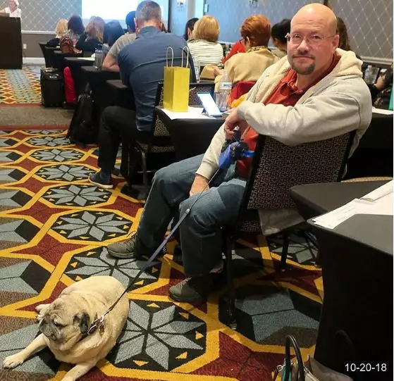牠吃不到了…愛寵辭世主人淚退飼料　寵物店卻「送回愛犬」讓他秒爆哭
