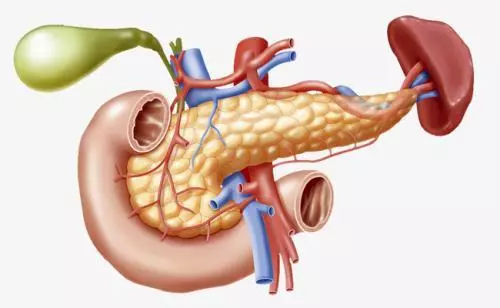 胰腺發炎會哪些臨床症狀?胰腺炎不能吃什麼?