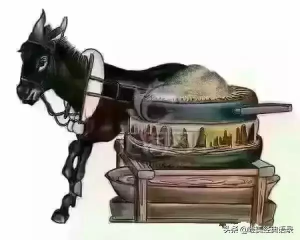 經典語錄:你太精,我太傻,不適合一起玩耍 !