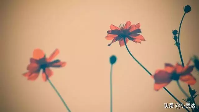 命運不是運氣,而是選擇