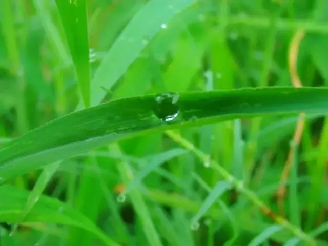 夏季濕氣大,注意6個濕邪入侵的因素