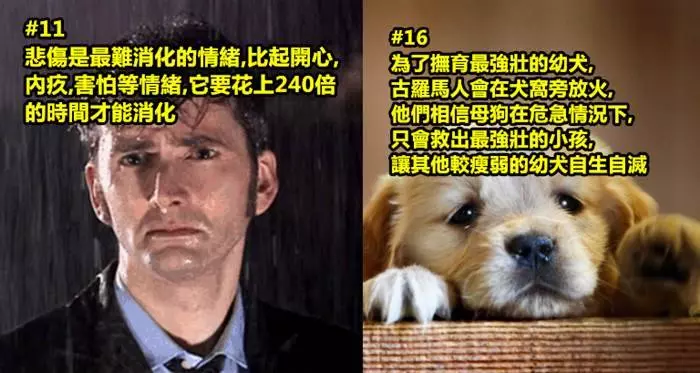 20個看了真的會「顛覆你的世界觀」的超驚奇冷知識...