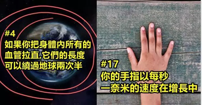 24個會讓你對自己的身體有更多的了解的事實