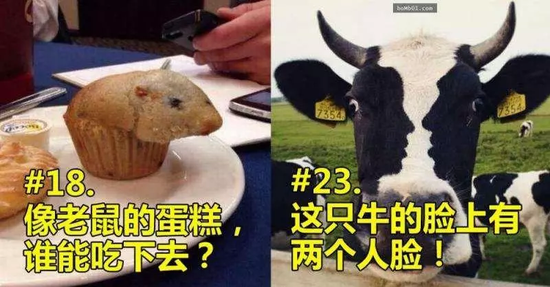 24張有趣的錯視照片,考驗一下自己的想像力吧!