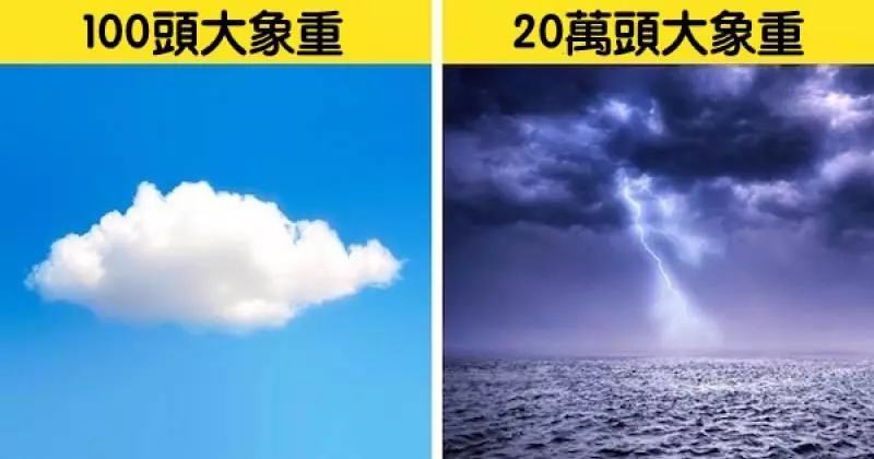 6個看過後「一生都不會忘」的奇妙冷知識!用拳頭記大小月這招超好用啊~XD