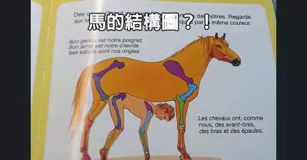 29本你小時候沒看懂的童書,現在看就會秒懂邪惡地笑出來了...