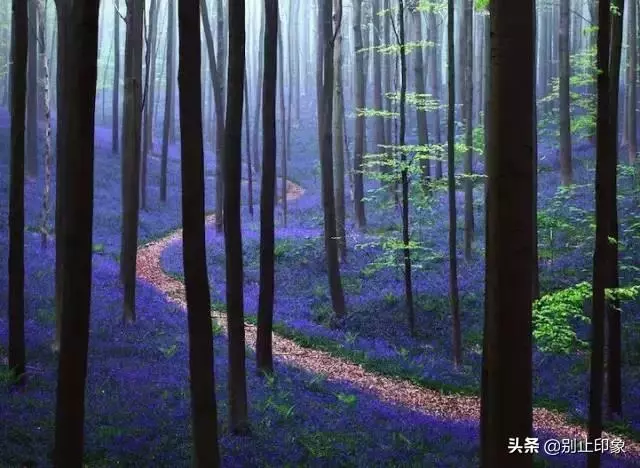 極具視覺衝擊力的37張照片,張張驚艷!