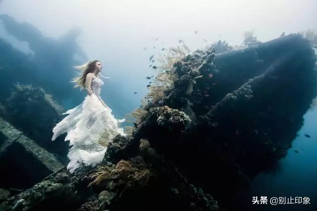 極具視覺衝擊力的37張照片,張張驚艷!