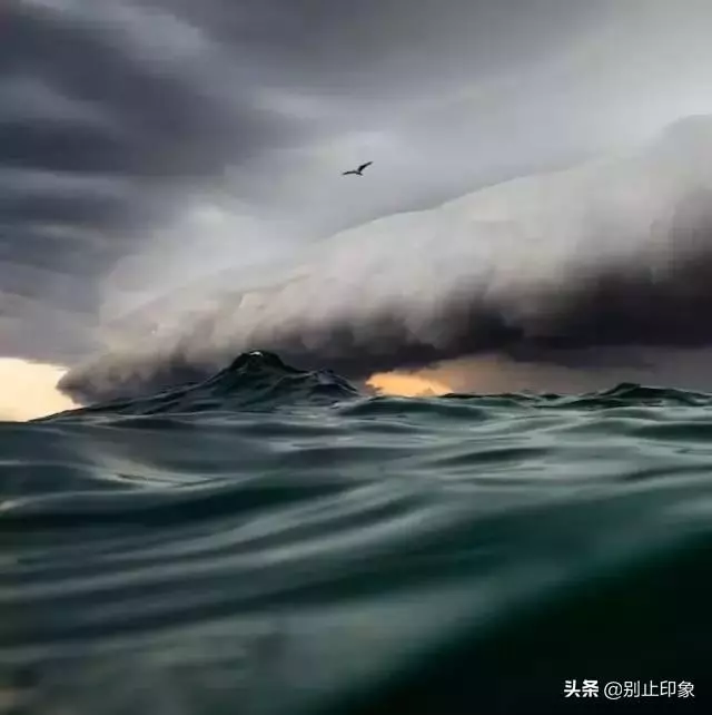 極具視覺衝擊力的37張照片,張張驚艷!