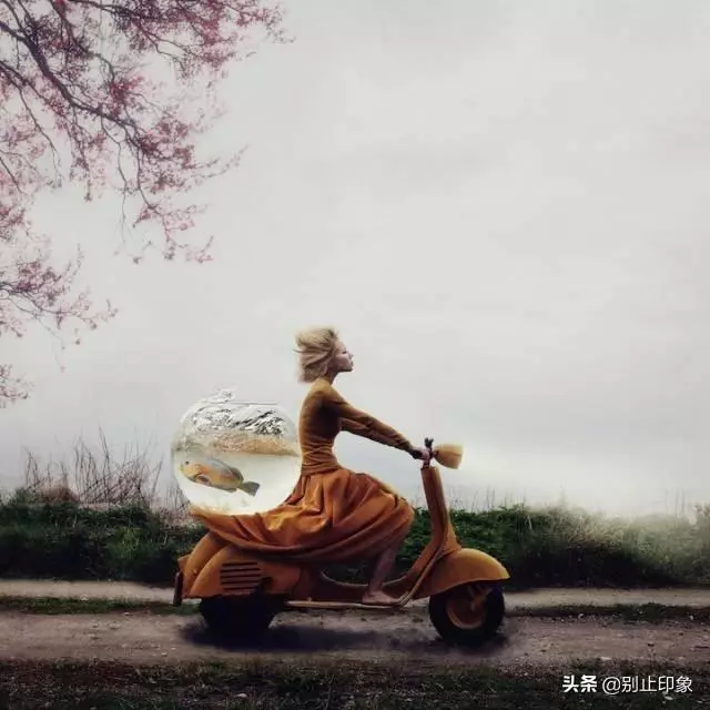 極具視覺衝擊力的37張照片,張張驚艷!