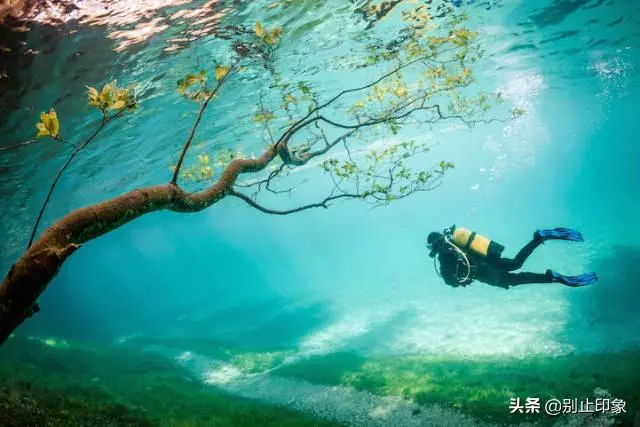 極具視覺衝擊力的37張照片,張張驚艷!