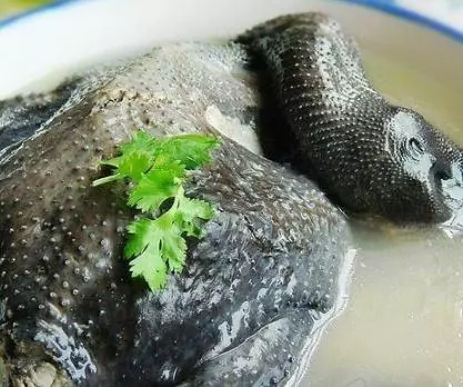 營養又美味的18道烏雞做法,每次上桌准吃光,放大招啦!