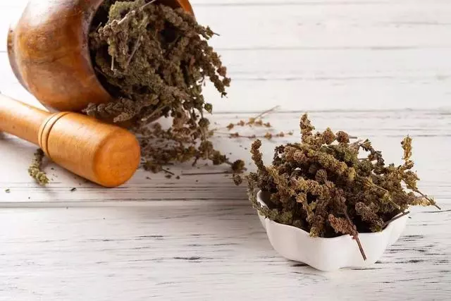 春暖花開,你的「皮膚瘙癢」開始了嗎?