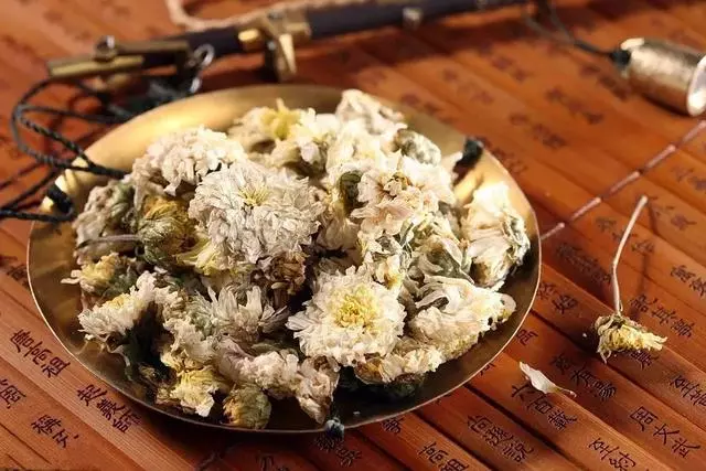 春暖花開,你的「皮膚瘙癢」開始了嗎?