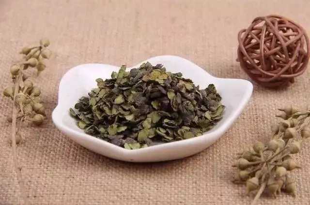 春暖花開,你的「皮膚瘙癢」開始了嗎?