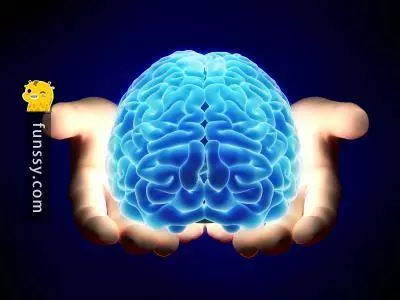 5個科學家至今也無法解釋的人體奧秘