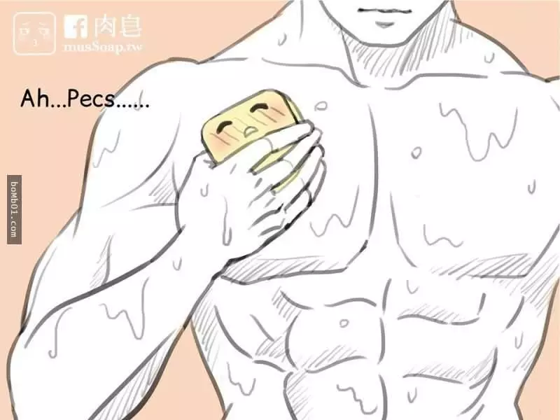 這是一個變態肥皂和他最愛的主人的爆笑故事可是結尾肥皂的下場太可憐了
