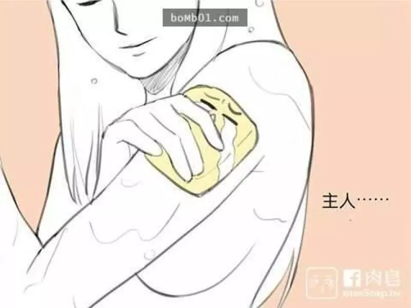 這是一個變態肥皂和他最愛的主人的爆笑故事可是結尾肥皂的下場太可憐了