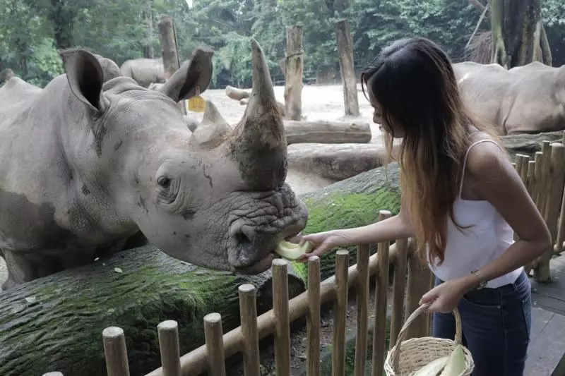 您不知道在新加坡也能夠經歷的10項生態旅遊體驗!