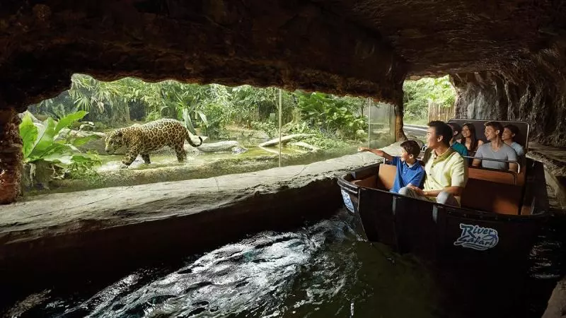 您不知道在新加坡也能夠經歷的10項生態旅遊體驗!