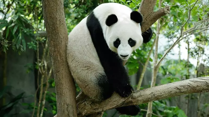 您不知道在新加坡也能夠經歷的10項生態旅遊體驗!