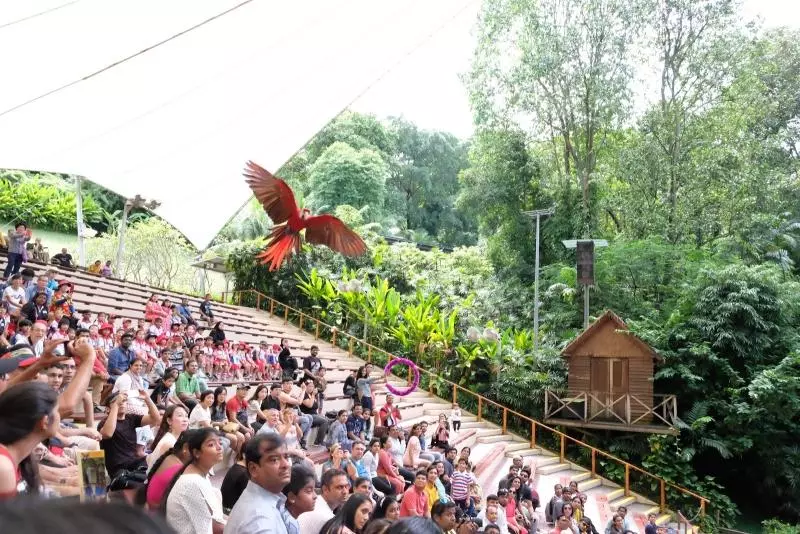 您不知道在新加坡也能夠經歷的10項生態旅遊體驗!