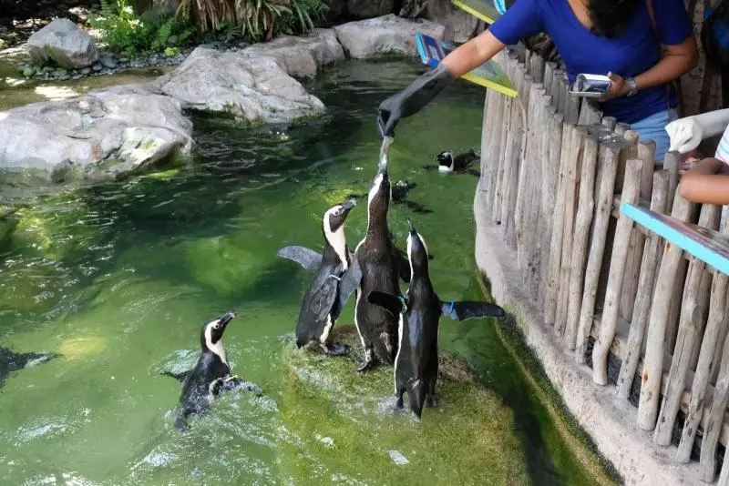 您不知道在新加坡也能夠經歷的10項生態旅遊體驗!