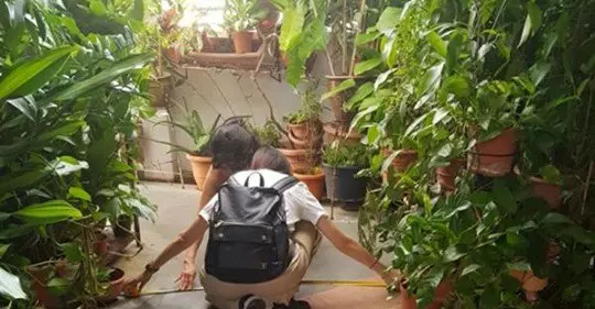 ◤「森林屋」風波◢ 不清空走道將面罰 屋主:仍有1.2米空間