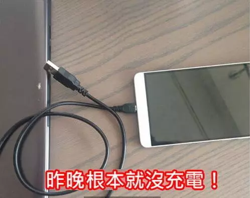 心血來潮用貓指紋做手機解鎖,結果劇情伸展開, 網友:從頭笑到尾XDDD