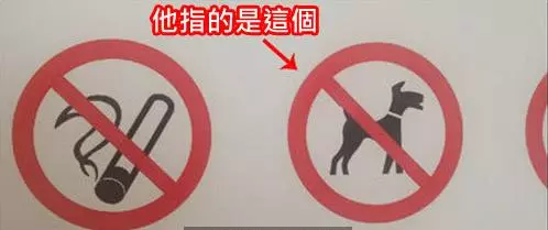心血來潮用貓指紋做手機解鎖,結果劇情伸展開, 網友:從頭笑到尾XDDD