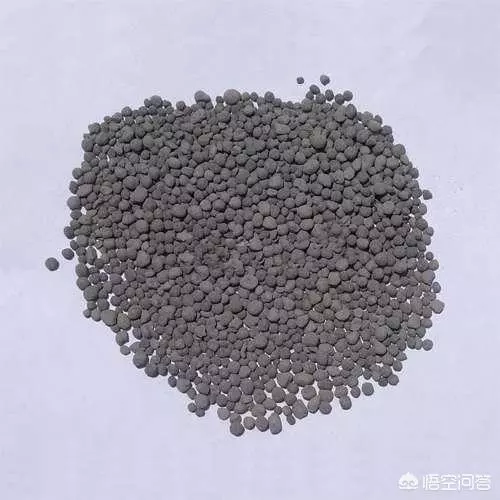 盆栽的檸檬坐果後,為什麼一直落果?