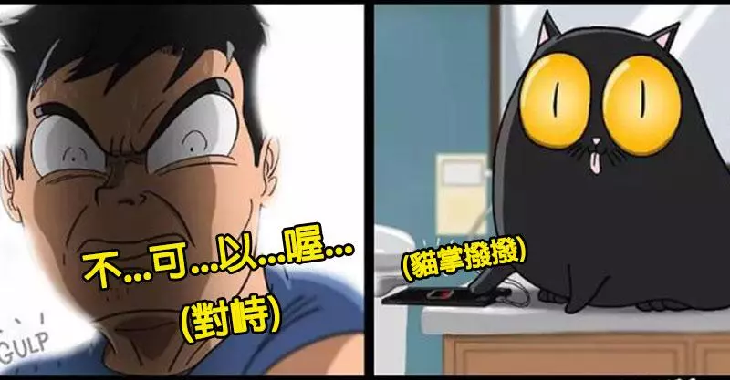 16個「只有跟貓住才會懂」的爆笑貓奴日常 貓皇「狂盯某處看」就會忍不住開始緊張!