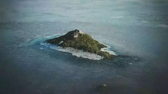 7張絕對會讓你第一眼看錯的照片。如果沒有說的話,你一定看不出來這些東西到底是什麼!