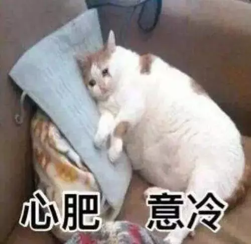 揭秘!長居新加坡體重飆升?看看被求婚後的她,超模身材一夜回歸
