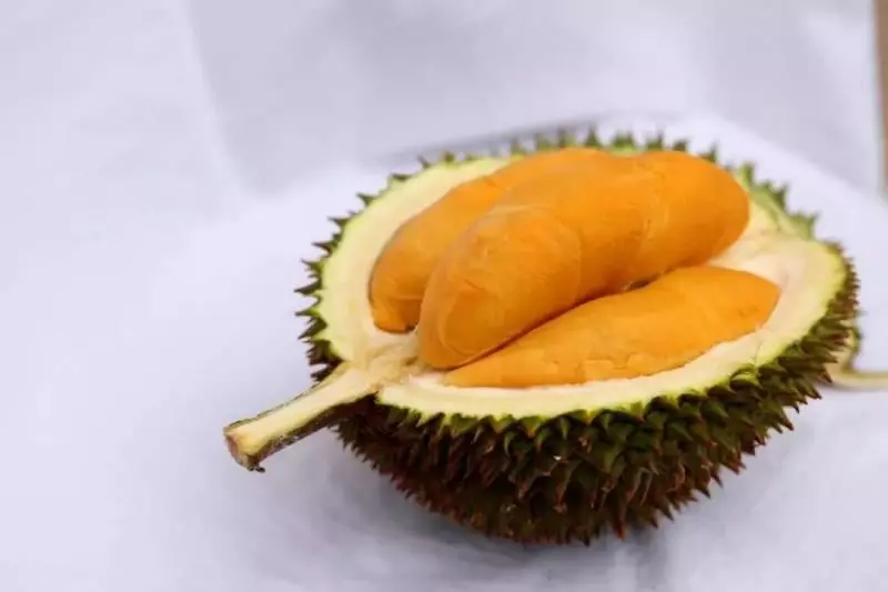 新加坡貓山王一個10新幣!最全買榴槤攻略