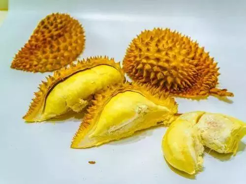 新加坡貓山王一個10新幣!最全買榴槤攻略