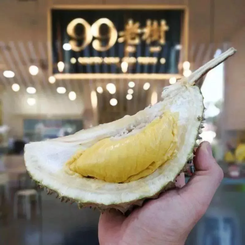 新加坡貓山王一個10新幣!最全買榴槤攻略