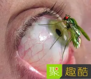 22張會讓你超後悔看到的「WTF照片」!#8 吃這個熱狗會得愛滋…