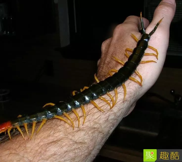 22張會讓你超後悔看到的「WTF照片」!#8 吃這個熱狗會得愛滋…