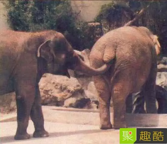 22張會讓你超後悔看到的「WTF照片」!#8 吃這個熱狗會得愛滋…