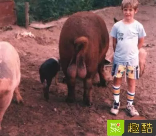 22張會讓你超後悔看到的「WTF照片」!#8 吃這個熱狗會得愛滋…