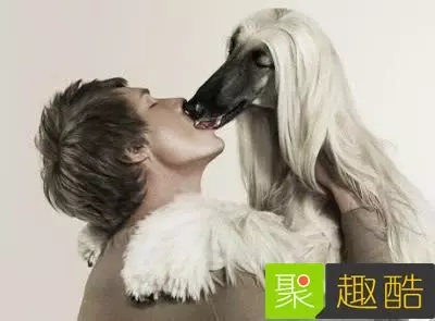 22張會讓你超後悔看到的「WTF照片」!#8 吃這個熱狗會得愛滋…
