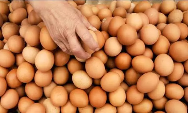 這些「食物」就算「過期」還是可以吃...靠著這招,一個月省了超多餐費!