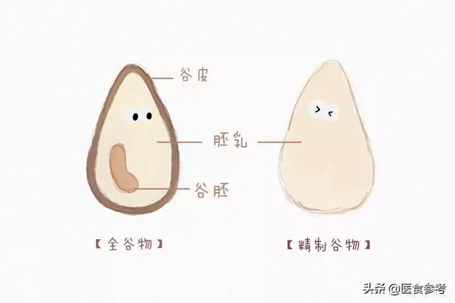 實用收藏 | 把米飯換成這些主食,多吃不怕胖!