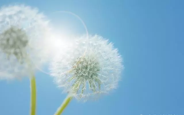 痛風,為什麼腳部最常見?平時注意這4件事,有助於降尿酸