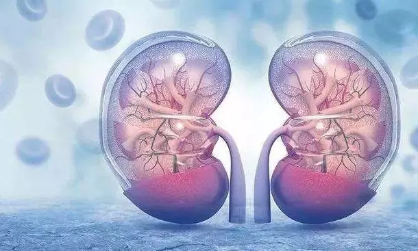 白髮為何越長越多?原因可能就出在這裡,為了健康多了解下