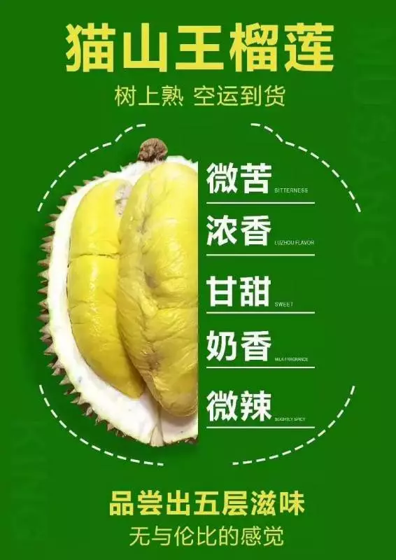 新加坡貓山王榴槤跌破底價!1個只要10新幣,送你最全買榴槤攻略趕緊下手